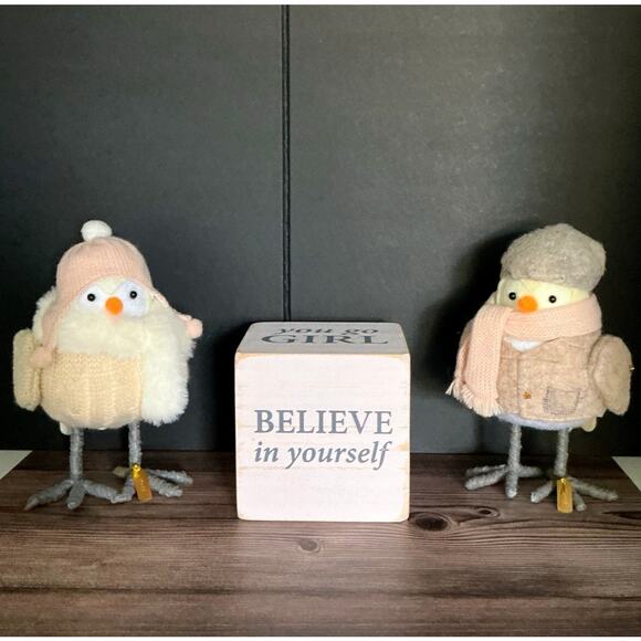 Believe in Yourself Decor Cube + Knit Birds | Feminine Empowerment Gift Set - Picture 1 of 3